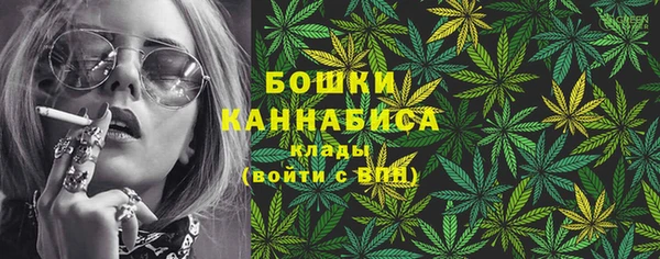 прущие грибы Вяземский