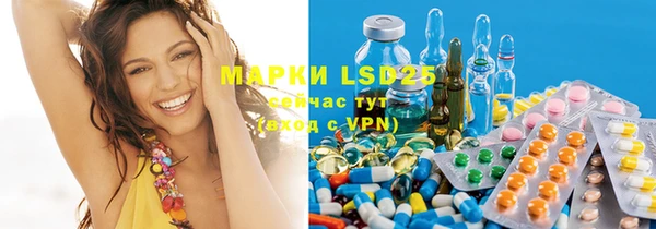 PSILOCYBIN Вязники