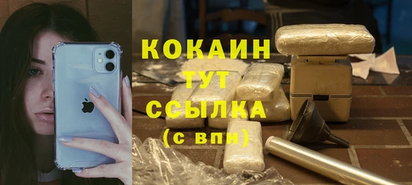 PSILOCYBIN Вязники