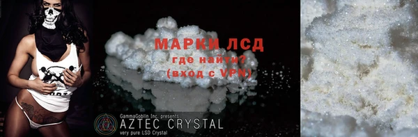 прущие грибы Вяземский