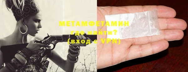 прущие грибы Вяземский