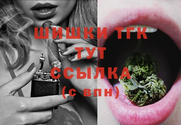 стафф Вязьма