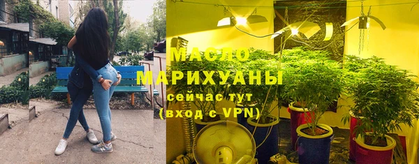 прущие грибы Вяземский
