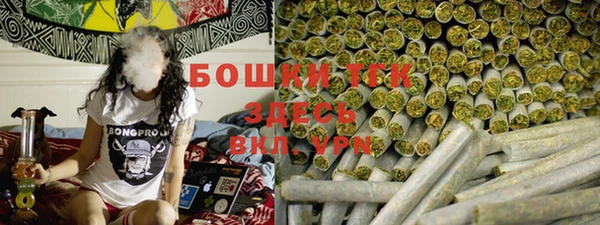 стафф Вязьма