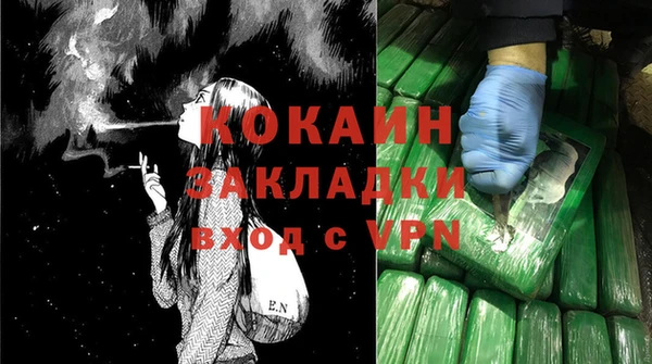 стафф Вязьма