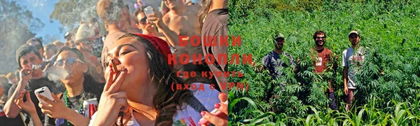 PSILOCYBIN Вязники