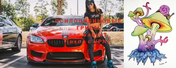 стафф Вязьма