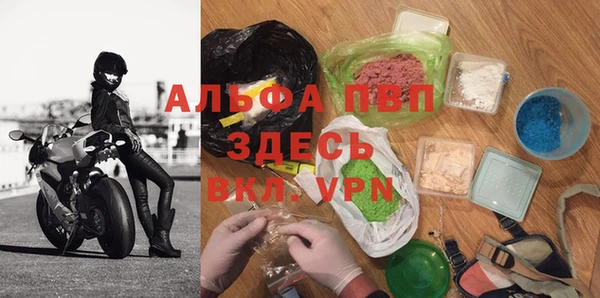 прущие грибы Вяземский