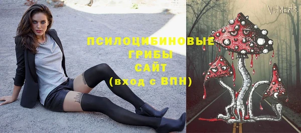 прущие грибы Вяземский