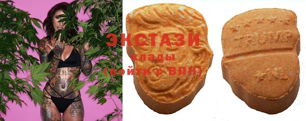 стафф Вязьма