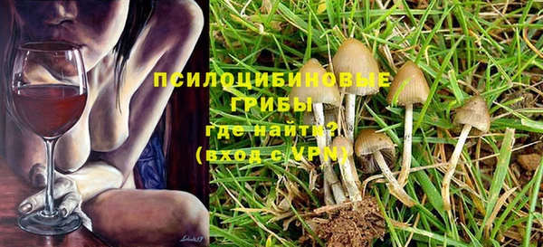 прущие грибы Вяземский
