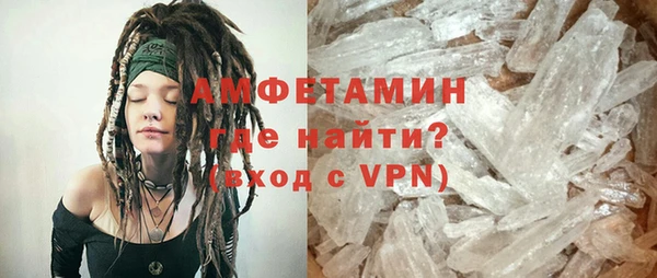 прущие грибы Вяземский