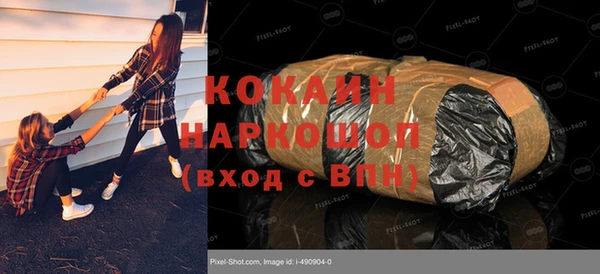 прущие грибы Вяземский