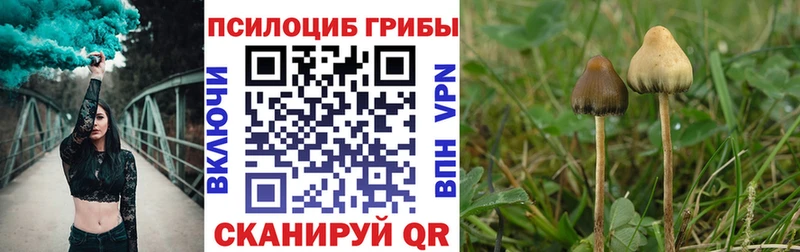 Псилоцибиновые грибы Magic Shrooms Далматово
